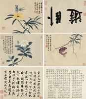 <b>VARIOUS PRINTS</b>