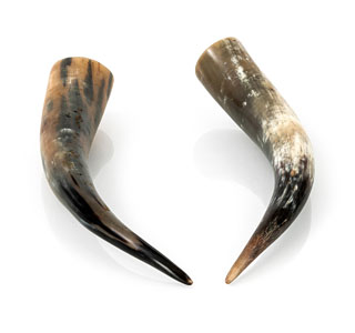 <b>TWO BUFFALO HORNS</b>