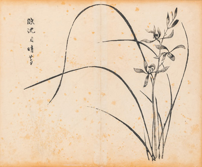 <b>FIFTEEN LEAVES FROM THE PAINTING MANUAL MUSTARD SEED GARDEN</b>