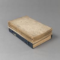 <b>COLLECTION OF PAINTING MANUALS FROM THE MUSTARD SEED GARDEN: AN ALBUM WITH FOUR VOLUMES, FIVE VOLUMES ON LANDSCAPES AND TWO INDIVIDUAL VOLUMES</b>