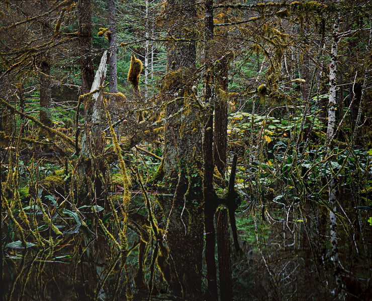 <b>Ketchum, Robert Glenn</b>