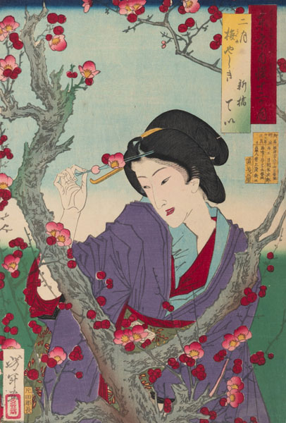 <b>TSUKIOKA YOSHITOSHI (1839-1892)</b>