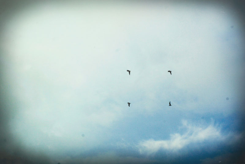 <b>Abele, Magdalena</b>