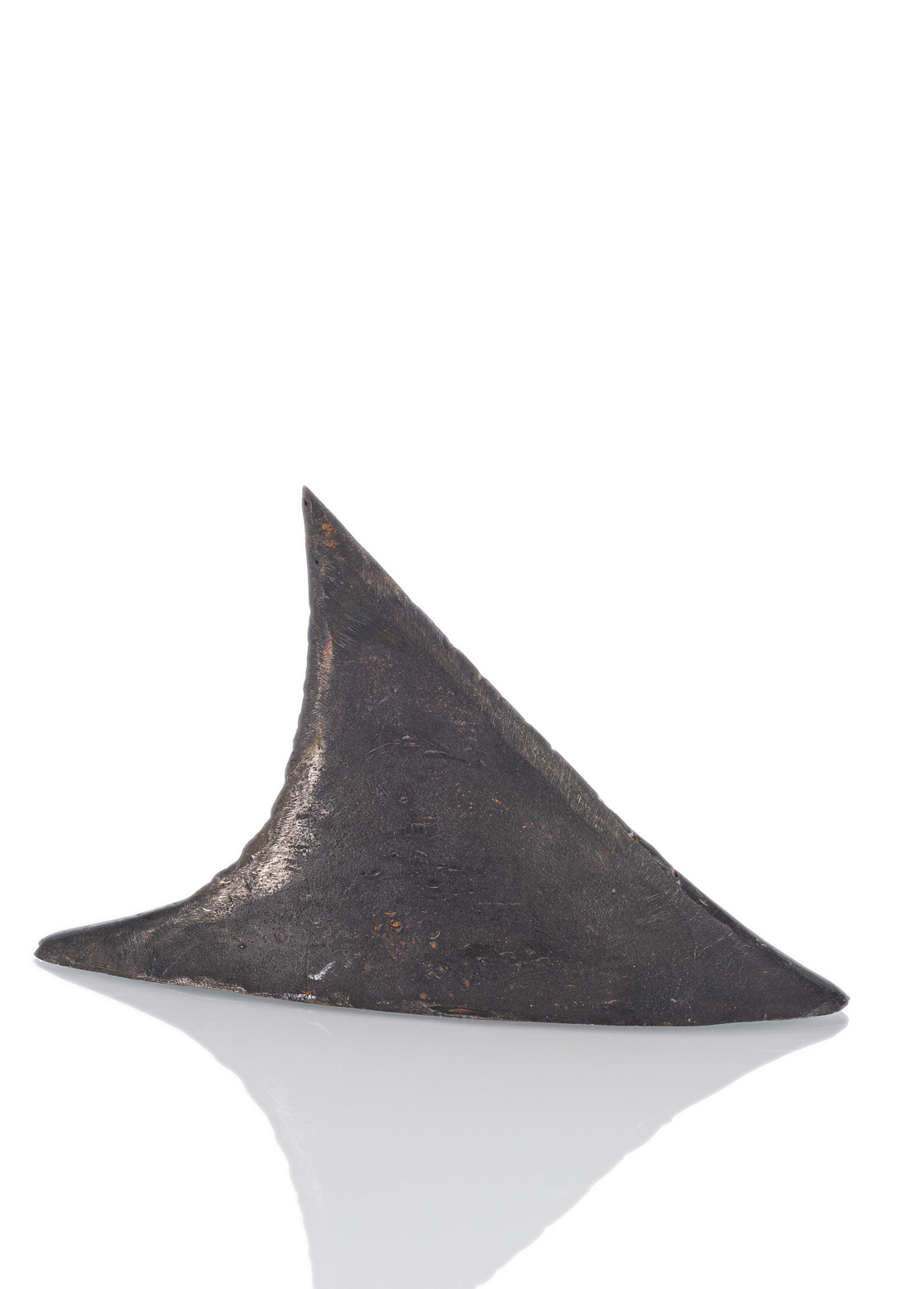 <b>Zaumseil, Andrea</b>