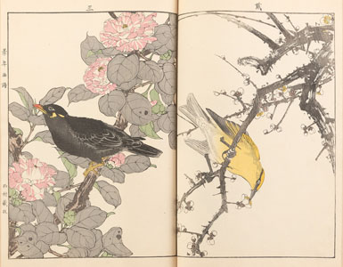 <b>Imao Keinen  (1845-1924): Titel ''Keinen Kacho Gafu''/ Blumen und Vögel der vier Jahreszeiten</b>