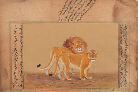 <b>Zwei Buchseiten mit Kalligraphie und Gouachen eines stehenden Löwenpaares und eines liegenden Tigers</b>