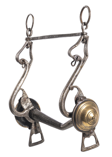 <b>Pferdekandarre</b>