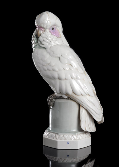 <b>Kakadu</b> <b>Kakadu</b>