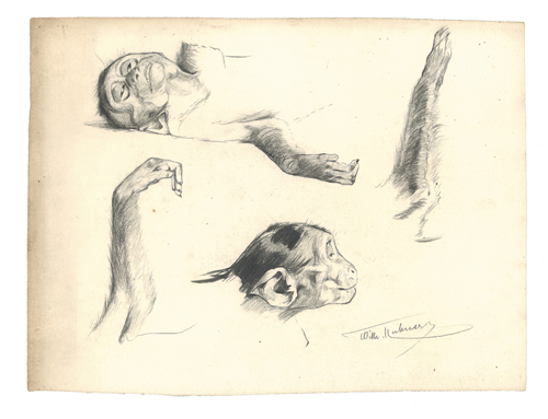 <b>Kuhnert, Wilhelm</b>