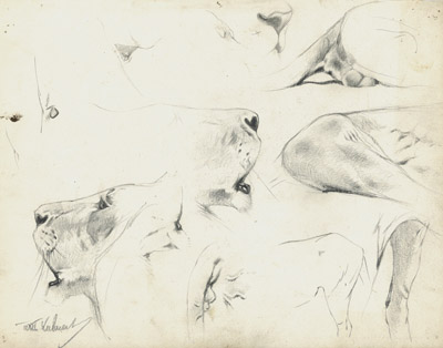 <b>Kuhnert, Wilhelm</b>