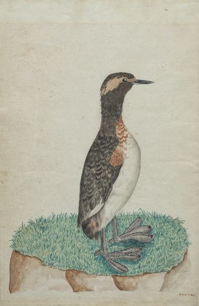 <b>Deutsche Schule</b> <b>Deutsche Schule</b>