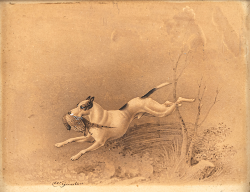 <b>Gunton, W.</b>