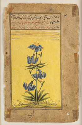 <b>Illustrierte Buchseite</b>