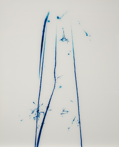 <b>Nicolai, Carsten</b>