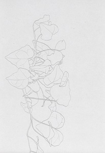 <b>Barsuglia, Alfredo</b>