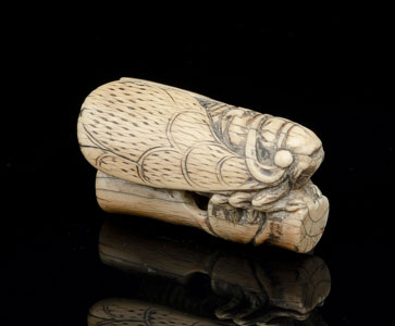 <b>A WELL CARVED IVORY NETSUKE OF A CICADA ON A BAMBOO SEGMENT</b>