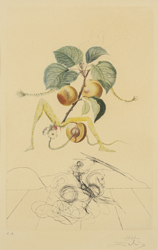 <b>Dalí, Salvador</b>