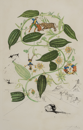 <b>Dalí, Salvador</b>