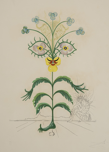 <b>Dalí, Salvador</b>