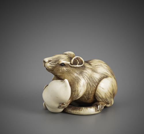 <b>A fine carved ivory netsuke of a rat with a bean pod</b>