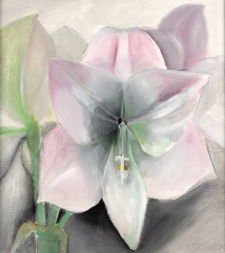 <b>Schrade, Dorothea</b>