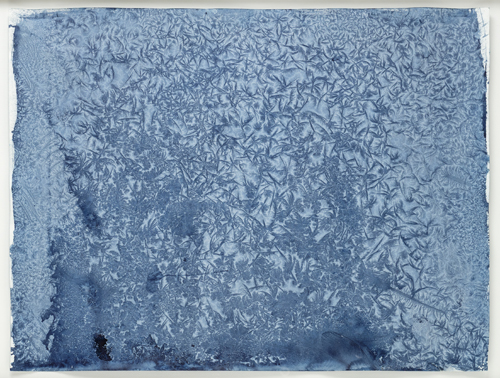 <b>Scherübl, Wilhelm</b>