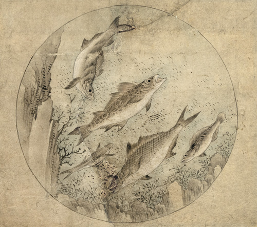 <b>An album leaf depicting fishes</b>