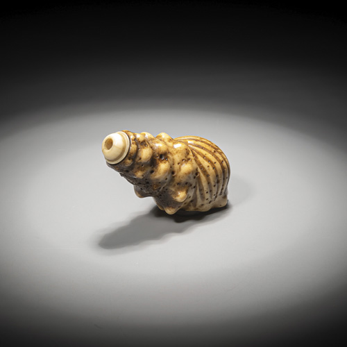 <b>A carved stag horn Netsuke of a trumpet snail</b>