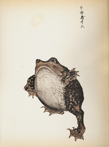 <b>Attributed to Kawahara Keiga (1786 - ca. 1860) and his studio</b>