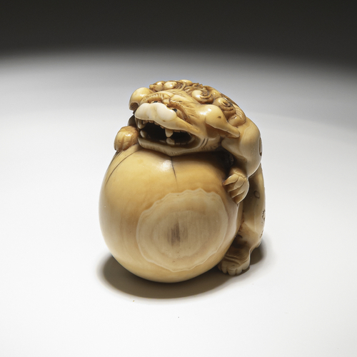 <b>Elfenbein-Netsuke eines Shishi mit einem großen Ball und schöner Alterspatina</b>