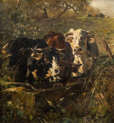 <b>Braith, Anton</b>