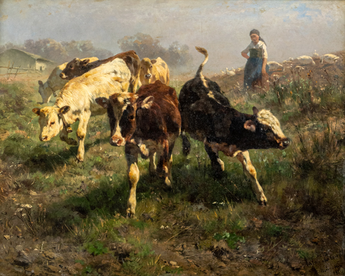 <b>Braith, Anton</b>