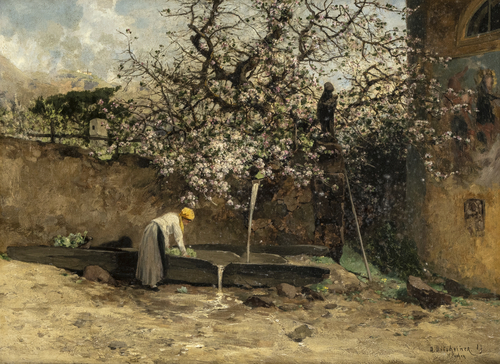 <b>Ditscheiner, Adolf Gustav</b> <b>Ditscheiner, Adolf Gustav</b>