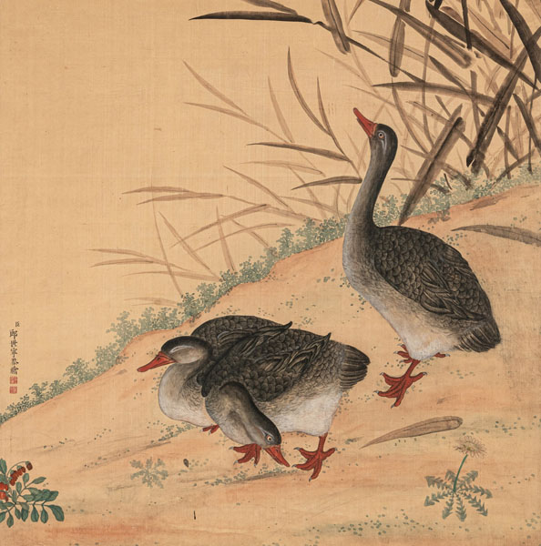 <b>GEHT ZURÜCK - Drei Enten im Stil von Giuseppe Castiglione</b> <b>GEHT ZURÜCK - Drei Enten im Stil von Giuseppe Castiglione</b>